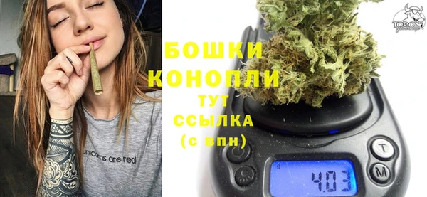 крисы Арсеньев