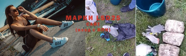 прущие грибы Армянск