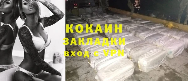 прущие грибы Армянск