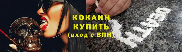 мяу мяу мука Аркадак