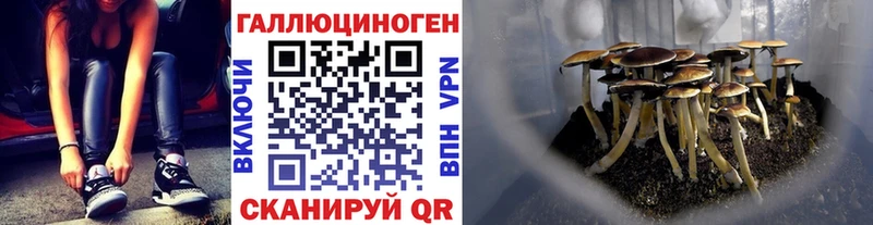 Галлюциногенные грибы MAGIC MUSHROOMS  МЕГА ССЫЛКА  Ипатово 